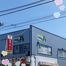 mag近所には・・・ mag近所には・・・
